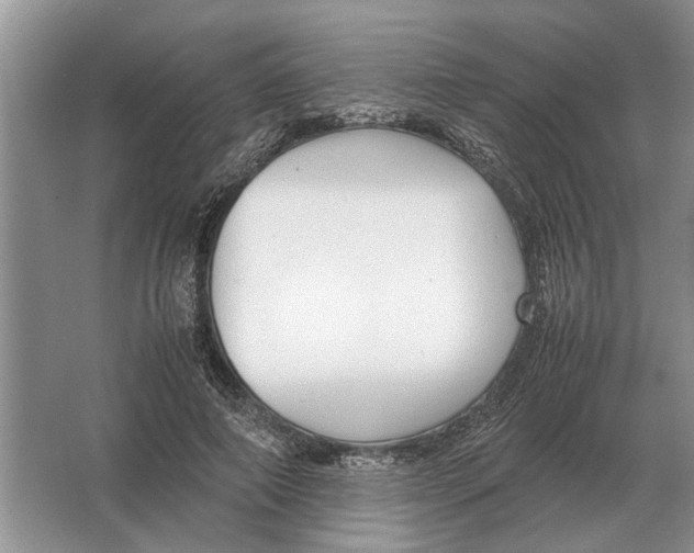 X0000064770690200603031826