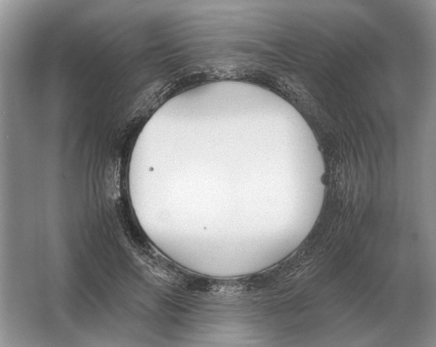 X0000064770694200603031826