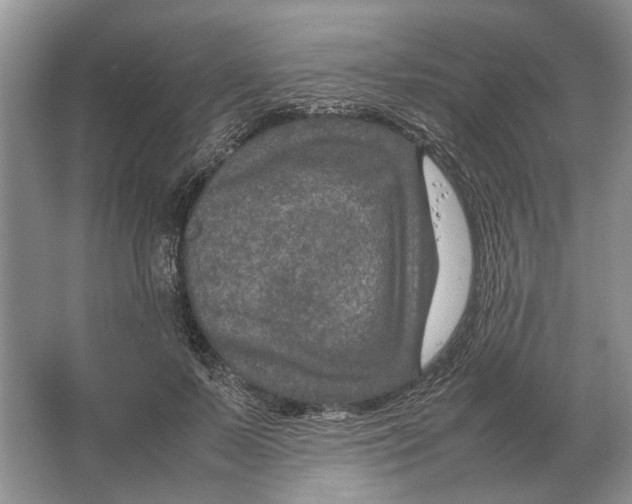 X0000064770695200603031826