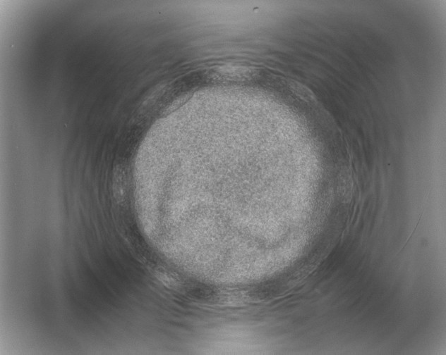 X0000064770701200603031825