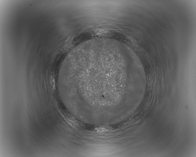 X0000064770703200603031825