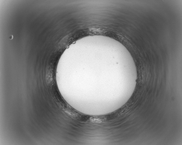 X0000064770706200603031825