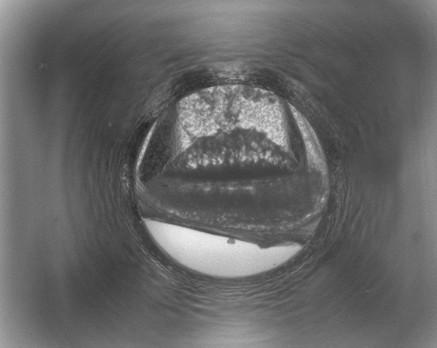 X0000064770707200603031825