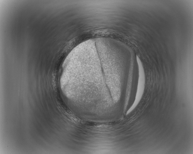 X0000064770708200603031825