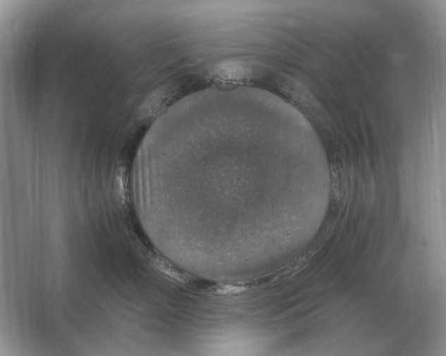 X0000064770718200603031825