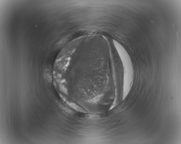 X0000064770719200603031825