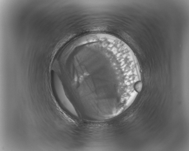 X0000064770721200603031824