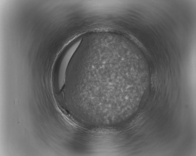 X0000064770722200603031824