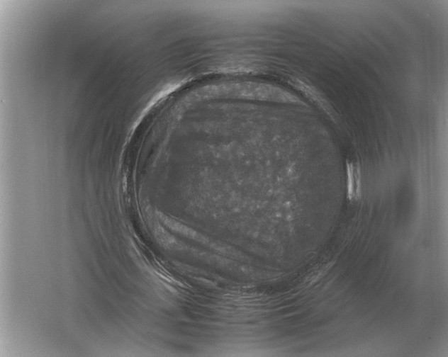 X0000064770723200603031824