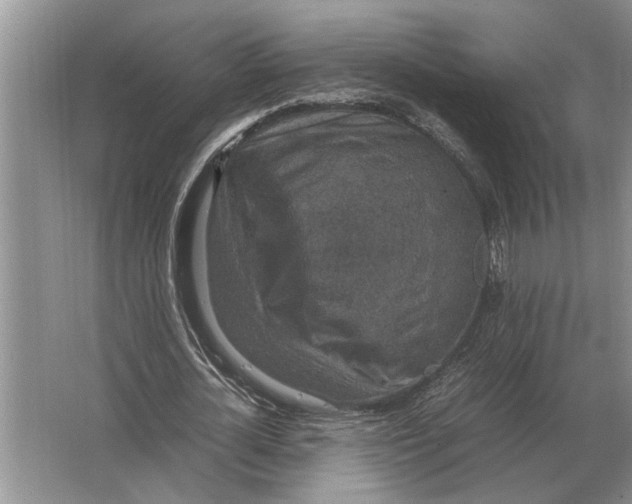 X0000064770724200603031824