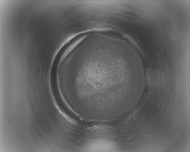 X0000064770726200603031824