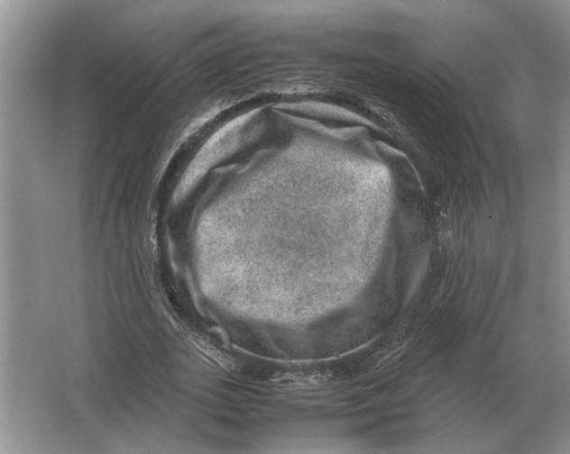 X0000064770727200603031824