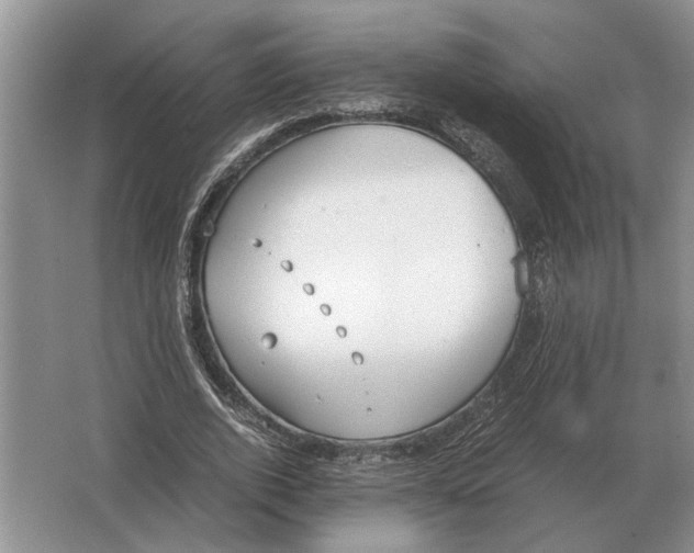 X0000064770728200603031824