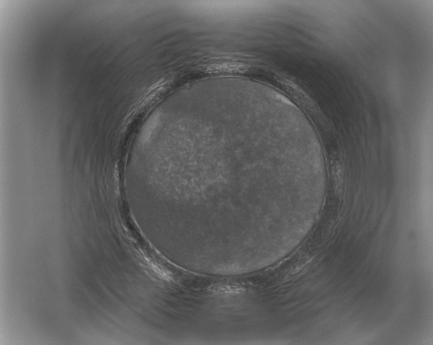 X0000064770729200603031825