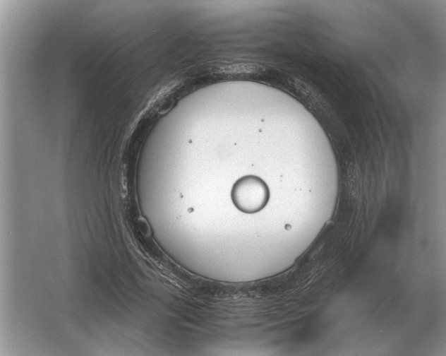 X0000064770731200603031825