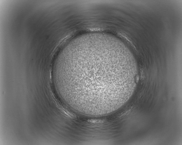 X0000064770733200603031825