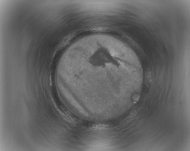 X0000064770734200603031825