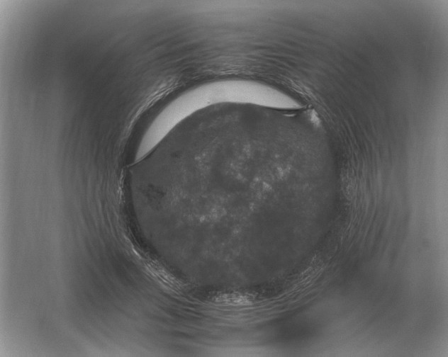 X0000064770735200603031825