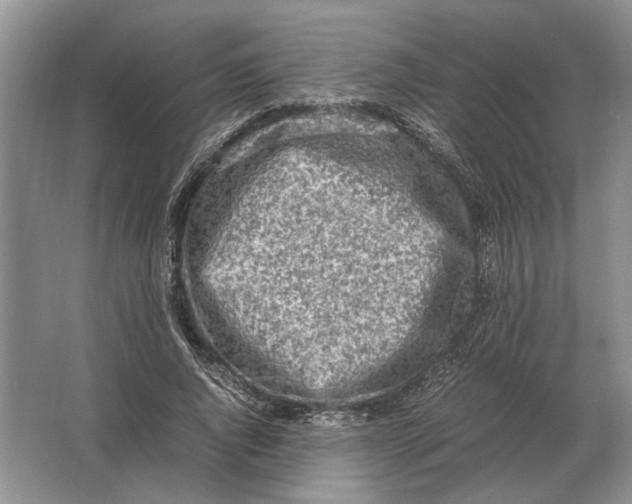 X0000064770736200603031825