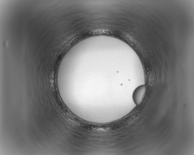 X0000064770737200603031825