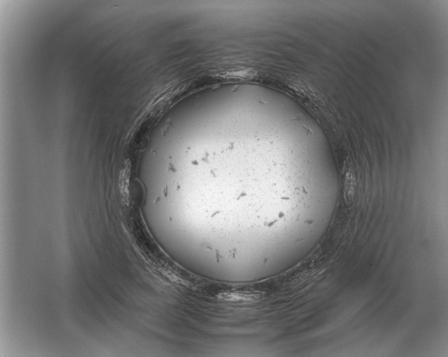 X0000064770739200603031825