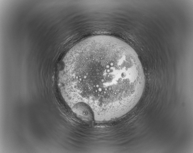 X0000064770741200603031825