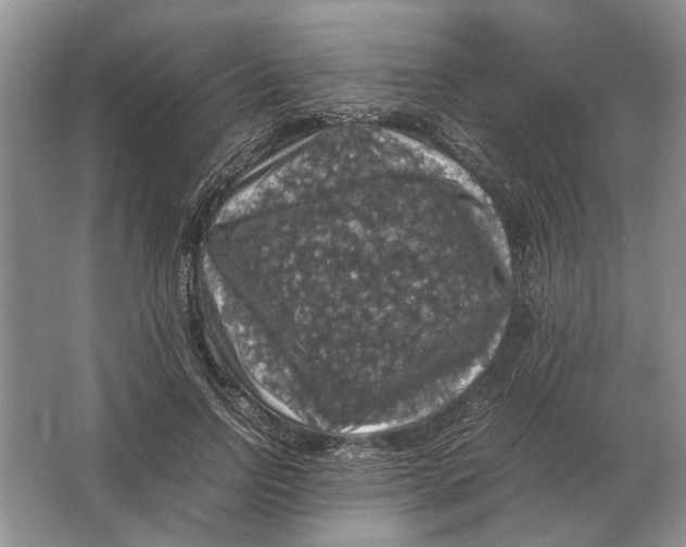 X0000064770742200603031825