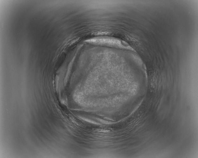 X0000064770743200603031825