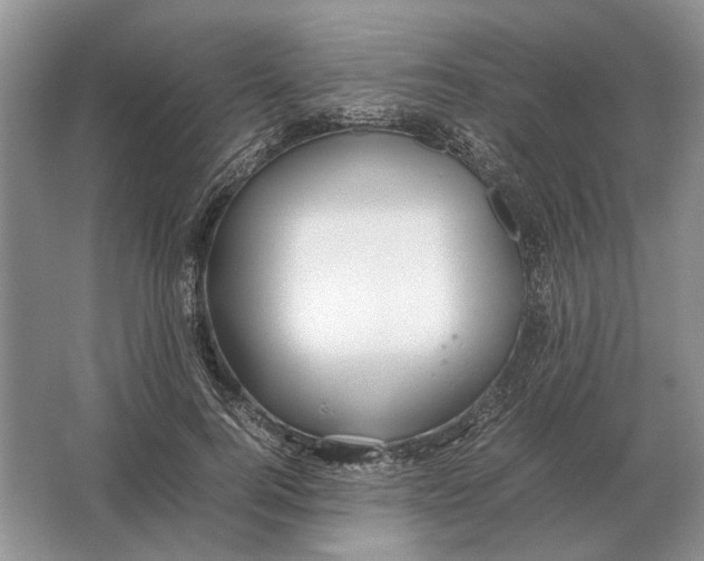 X0000064770744200603031825