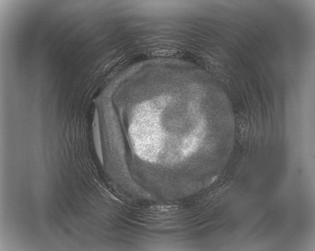 X0000064770745200603031825