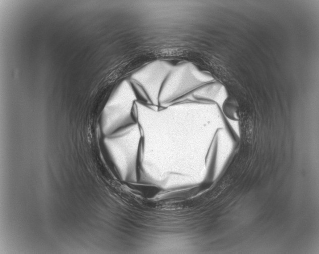 X0000064770746200603031825