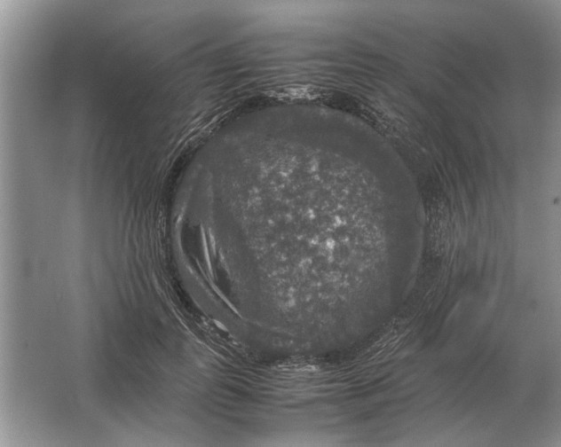 X0000064770747200603031825