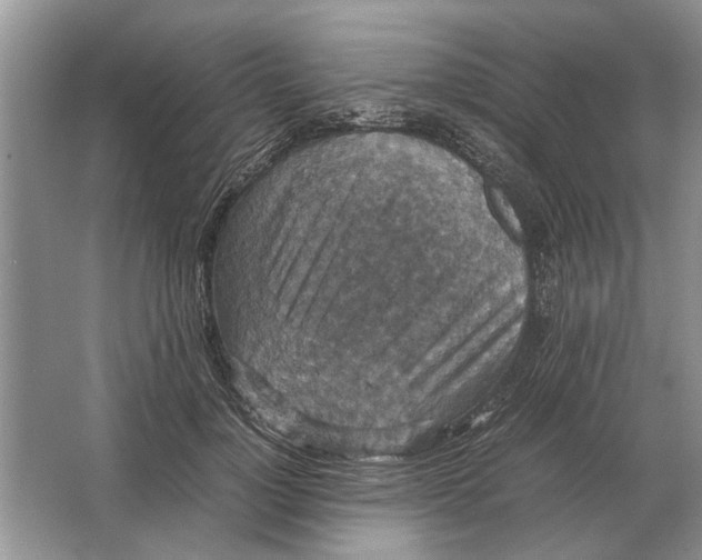 X0000064770748200603031825