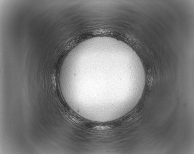 X0000064770749200603031825