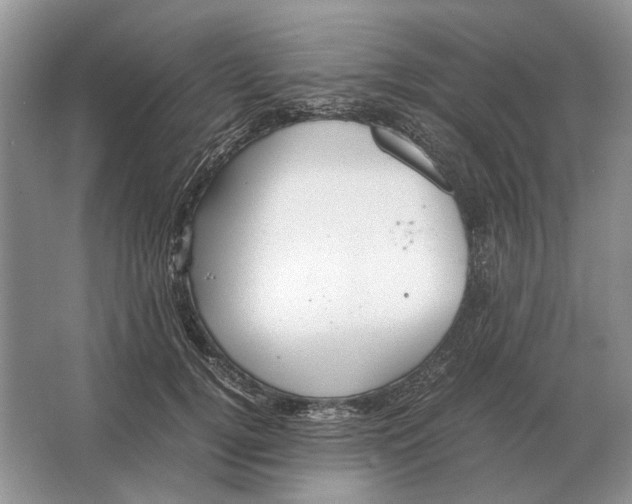 X0000064770752200603031825