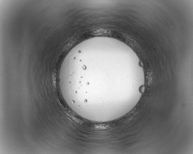 X0000064770753200603031825