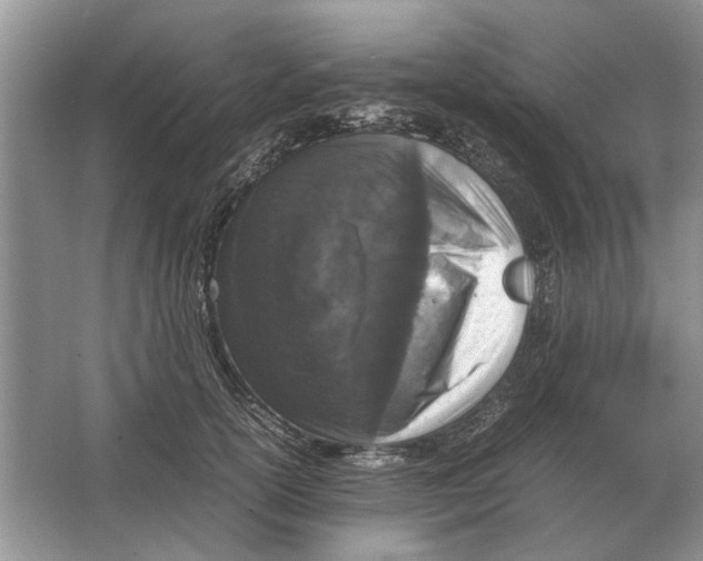 X0000064770754200603031825