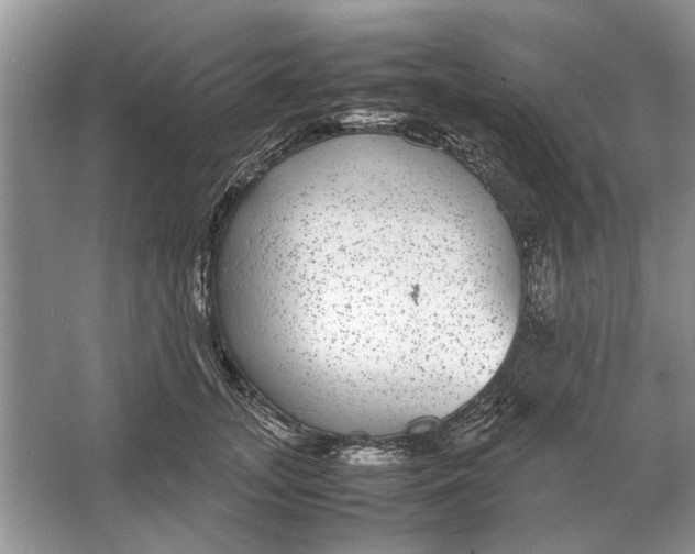 X0000064770755200603031825