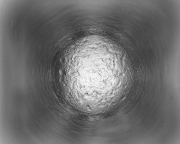 X0000064770757200603031825