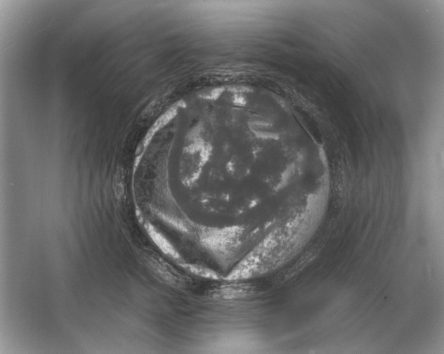 X0000064770758200603031825