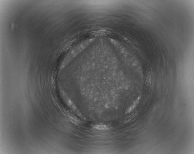 X0000064770759200603031825