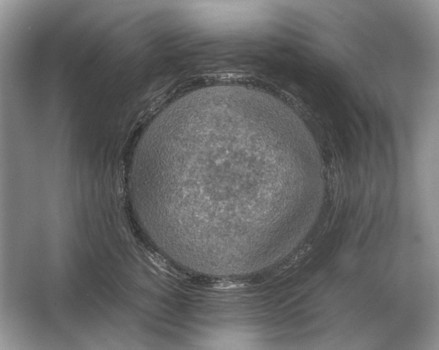 X0000064770760200603031825