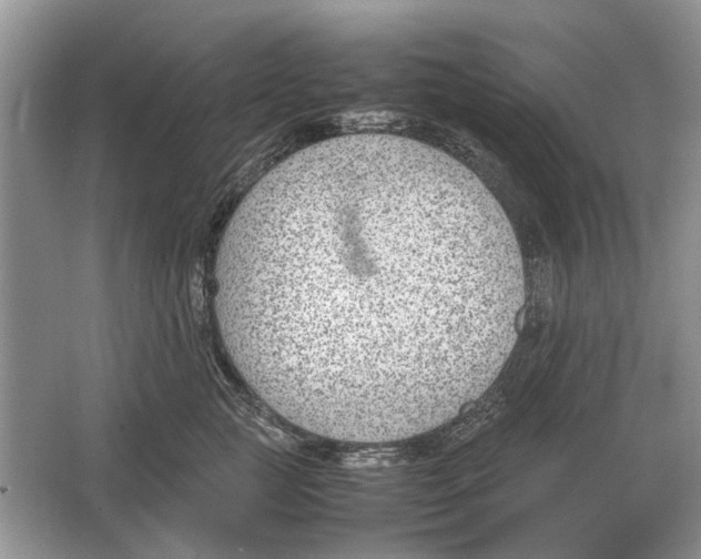 X0000064770761200603031825