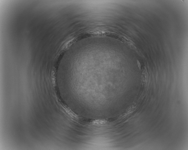 X0000064770762200603031825