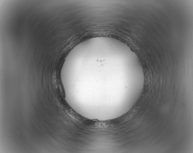 X0000064770764200603031825