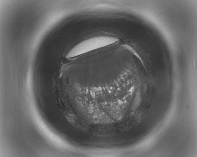 X0000064770765200603031825