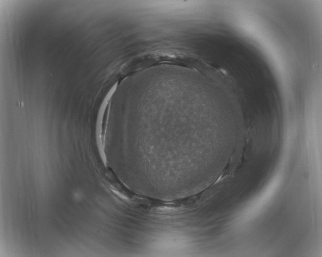 X0000064770766200603031825