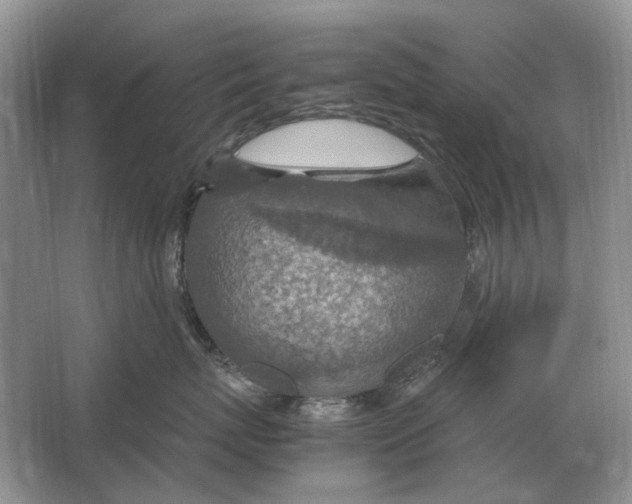 X0000064770767200603031825