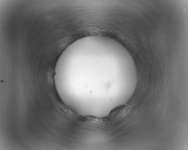 X0000064770768200603031825