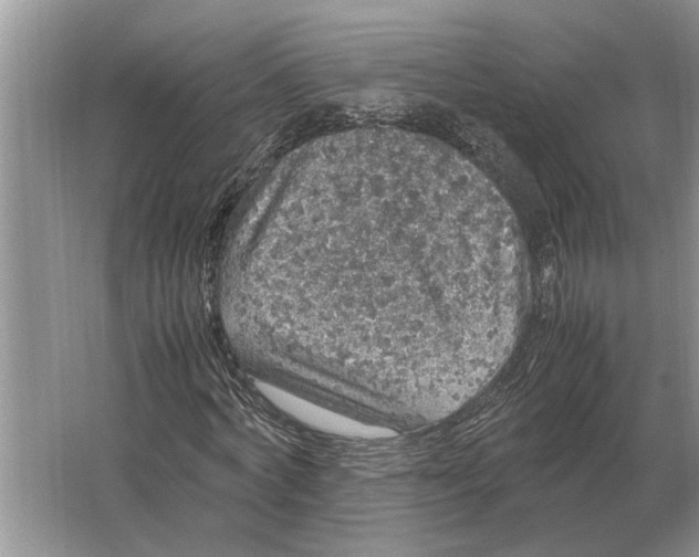 X0000064770772200603031824